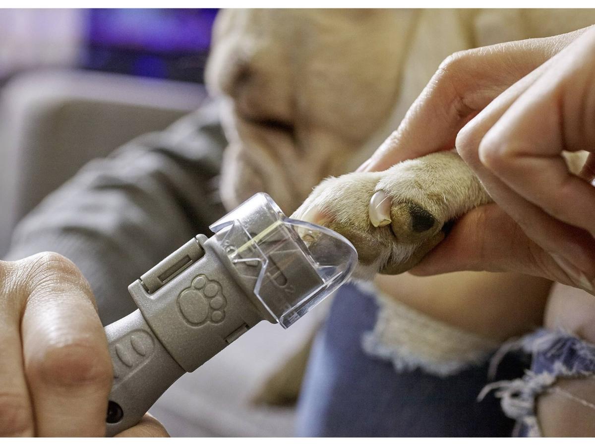 2739920 1 1318fedd.jpg 2739920 1 1318fedd.jpg