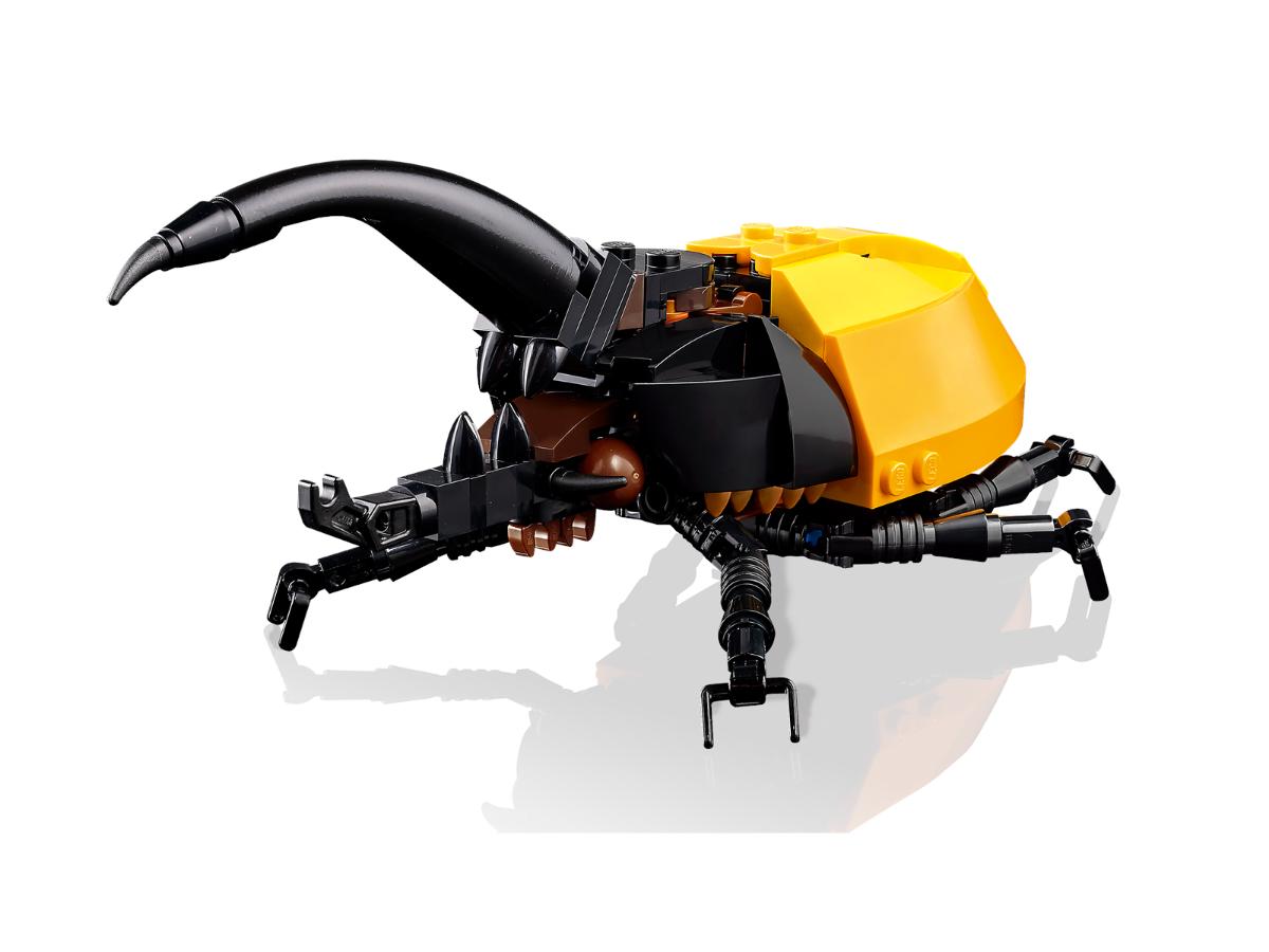 LEGO Kolekcja owadów 21342 - Ruchome modele dla miłośników przyrody - obrazek 4