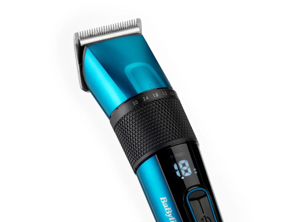 3259509 3 da9cd1e1.jpg