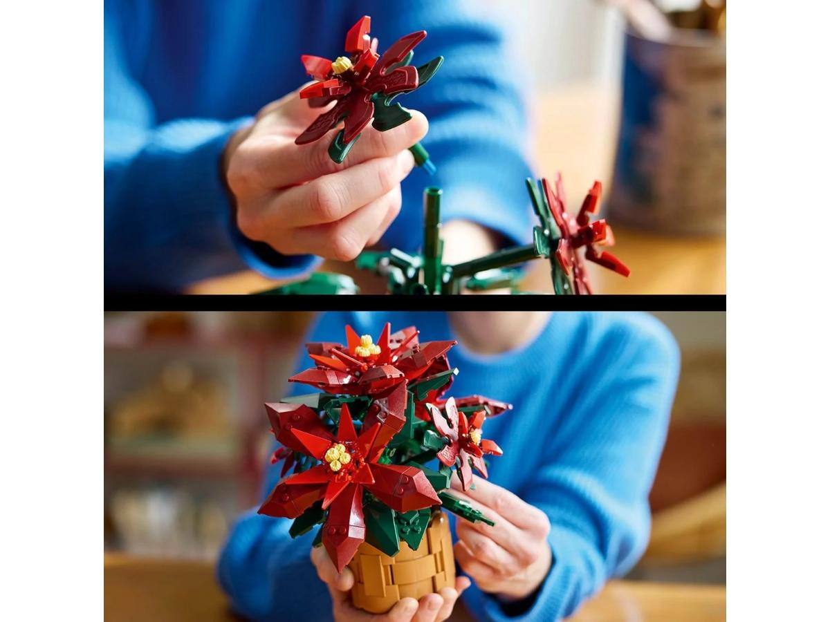 LEGO Botanicals 10370 Gwiazda Betlejemska - Ozdoba do domu - obrazek 4