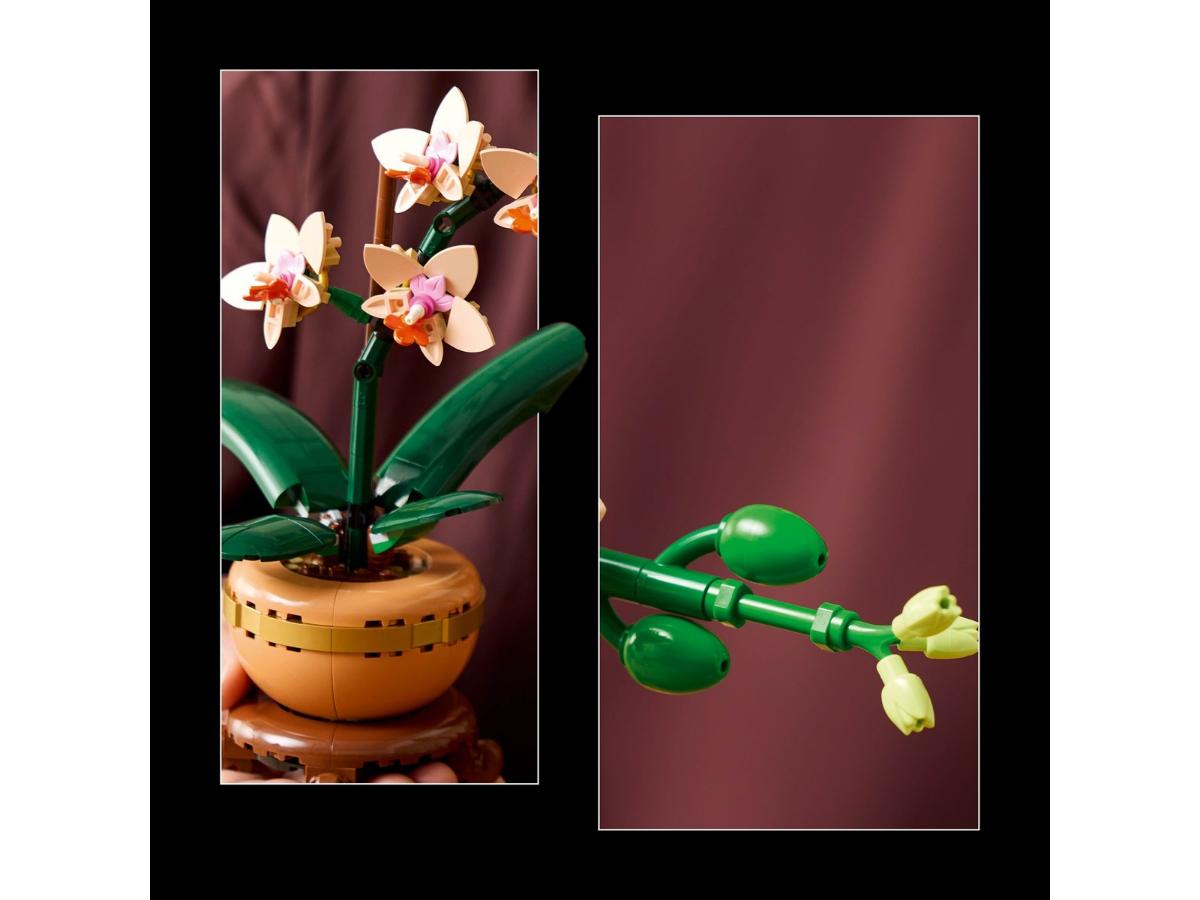 LEGO Botanicals Mała orchidea - Realistyczna ozdoba do domu - obrazek 2