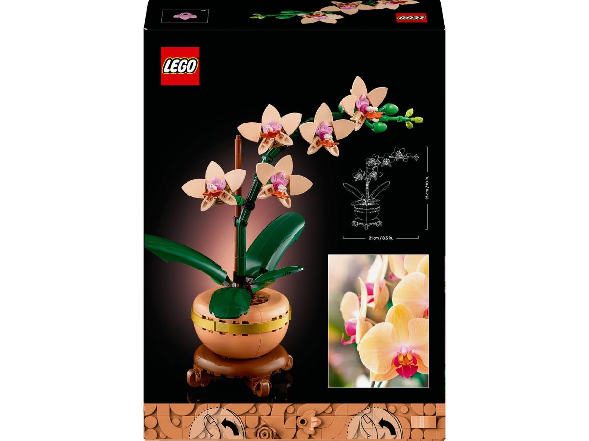 LEGO Botanicals Mała orchidea - Realistyczna ozdoba do domu - obrazek 3