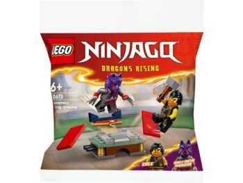 LEGO Turniejowy teren szkoleniowy - Zestaw dla młodych budowniczych