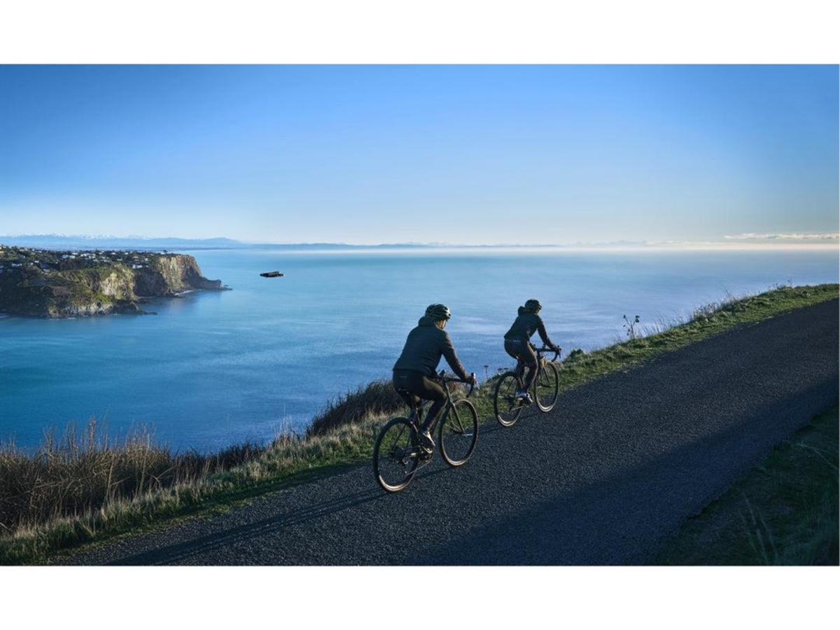 3372187 5 c923b173.jpg 3372187 5 c923b173.jpg