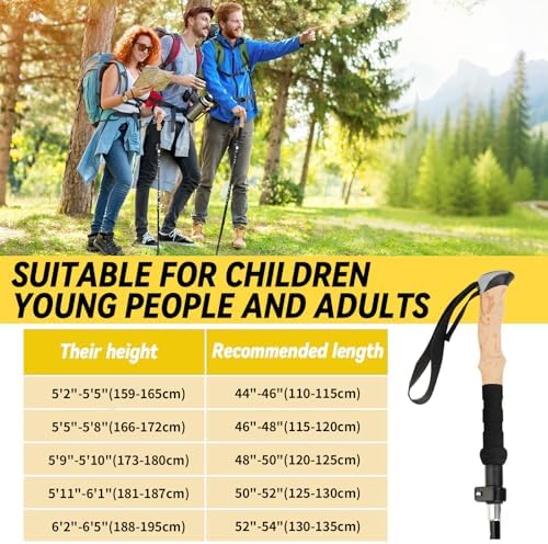 PQETBV Kije turystyczne - Wygodne i funkcjonalne dla każdego - obrazek 5