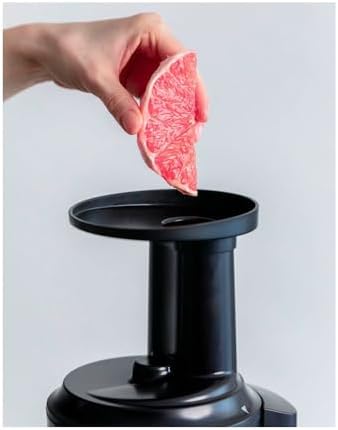 31dgtr2ngl. ac sl1500 .jpg 31dgtr2ngl. ac sl1500 .jpg