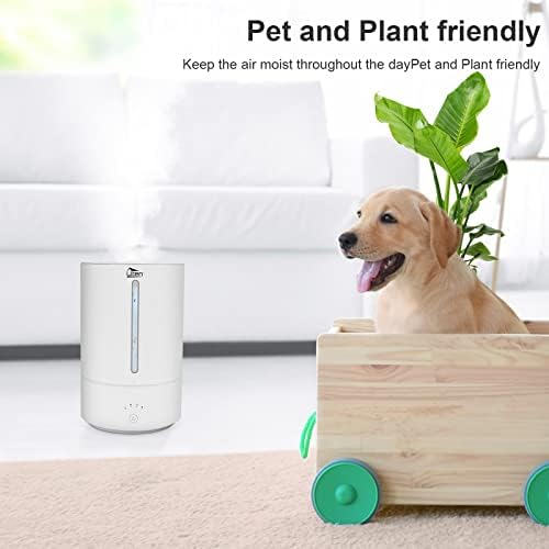 41s1rilkxfl. ac sl1500 .jpg 41s1rilkxfl. ac sl1500 .jpg