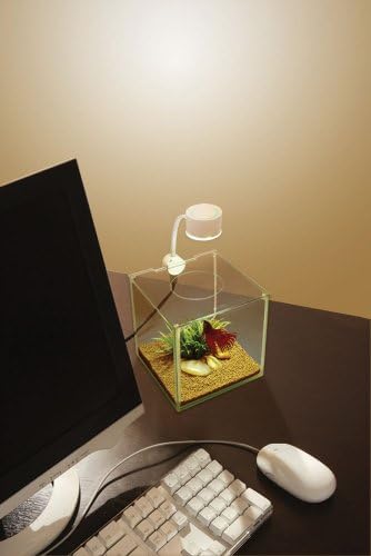 41uzb52mqgl. ac sl1500 .jpg 41uzb52mqgl. ac sl1500 .jpg