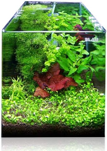 51cswftq1gl. ac sl1500 .jpg 51cswftq1gl. ac sl1500 .jpg