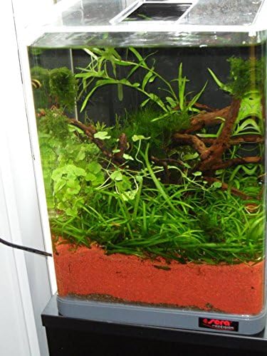 51brugh8mfl. ac sl1500 .jpg 51brugh8mfl. ac sl1500 .jpg