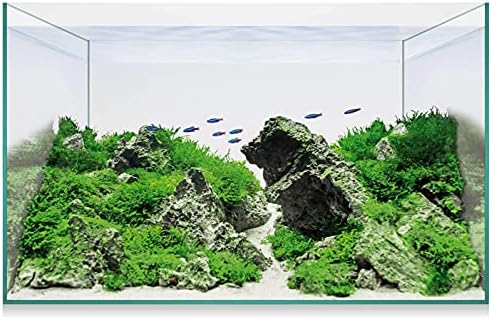 51y91bylubs. ac sl1500 .jpg 51y91bylubs. ac sl1500 .jpg