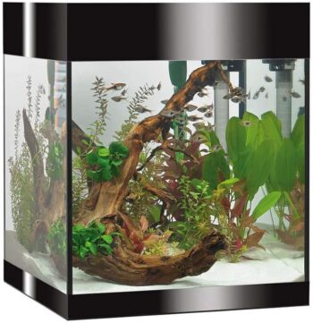 61hymjzul. ac sx679 .jpg