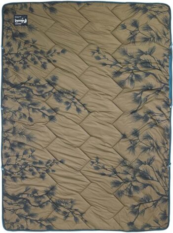 71ac5vvyz5l. ac sy879 .jpg