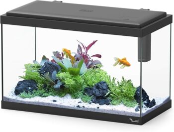 71ruckzapll. ac sx679 .jpg