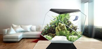 71vhbchexil. ac sx679 .jpg