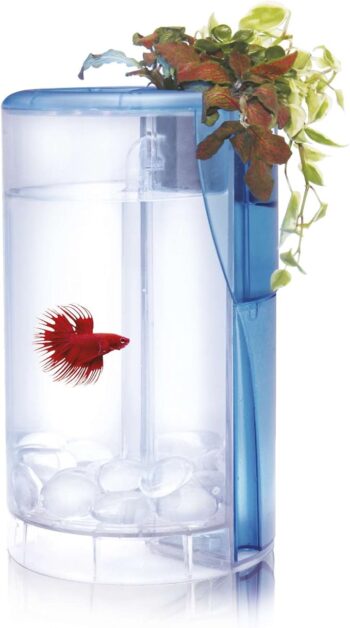 71ypeo h4zl. ac sx679 .jpg