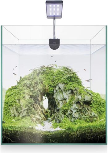 81esrdh45zl. ac sx679 .jpg