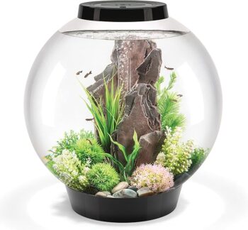 81rq76 d9jl. ac sx679 .jpg