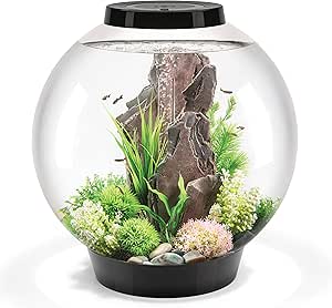 81rq76 d9jl. ac sy300 sx300 ql70 ml2 .jpg 81rq76 d9jl. ac sy300 sx300 ql70 ml2 .jpg