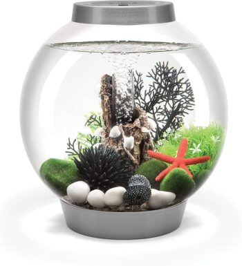 81l rrmxkil. ac sx679 .jpg